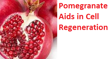 Health Benefits of Pomegranate Fruit (anar fruit) juice - Pomegranate Aids in Cell Regeneration