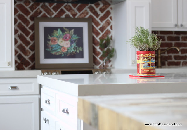 how to use a tin as a planter