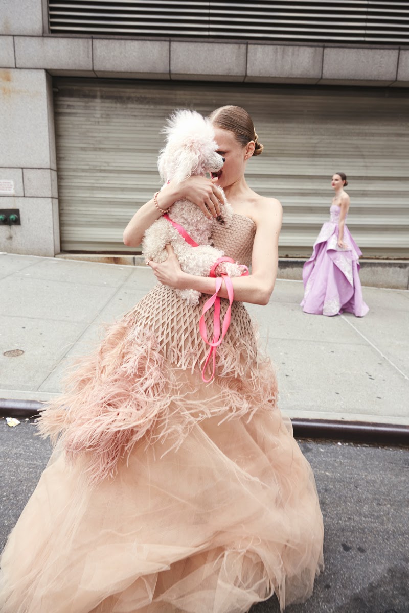 Met Gala Looks photographed by Cass Bird  From Cool Chic Style Fashion