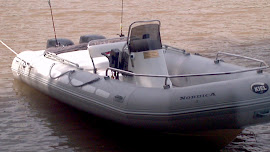 LA NAVE INSIGNIA