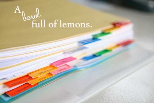 %D0%9E%D1%80%D0%B3%D0%B0%D0%BD%D0%B8%D0%B7%D0%B0%D1%86%D0%B8%D1%8F+%D1%85%D1%80%D0%B0%D0%BD%D0%B5%D0%BD%D0%B8%D1%8F+%D1%80%D0%B5%D1%86%D0%B5%D0%BF%D1%82%D0%BE%D0%B214