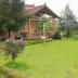 The Radiant Villas Bamboo Bogor