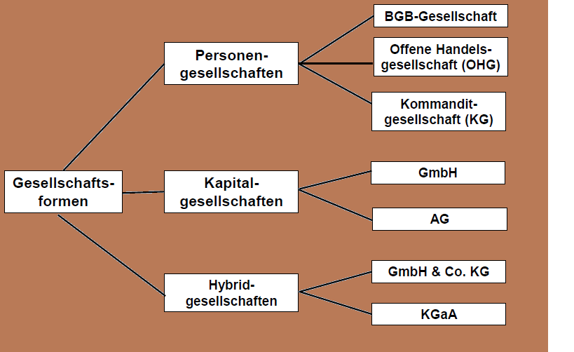 Klausurvorbereitung für das Studium : Grundlagen der Betriebswirtschaftslehre 1/2