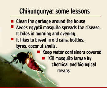 Chikungunya in the Caribbean - Watch - Level 1, Practice ...