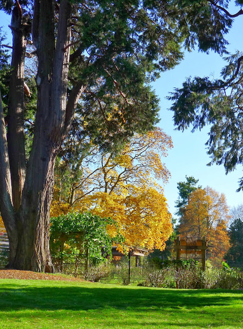 Good Life Northwest: Happy November - Photo Tour of Point Defiance Park