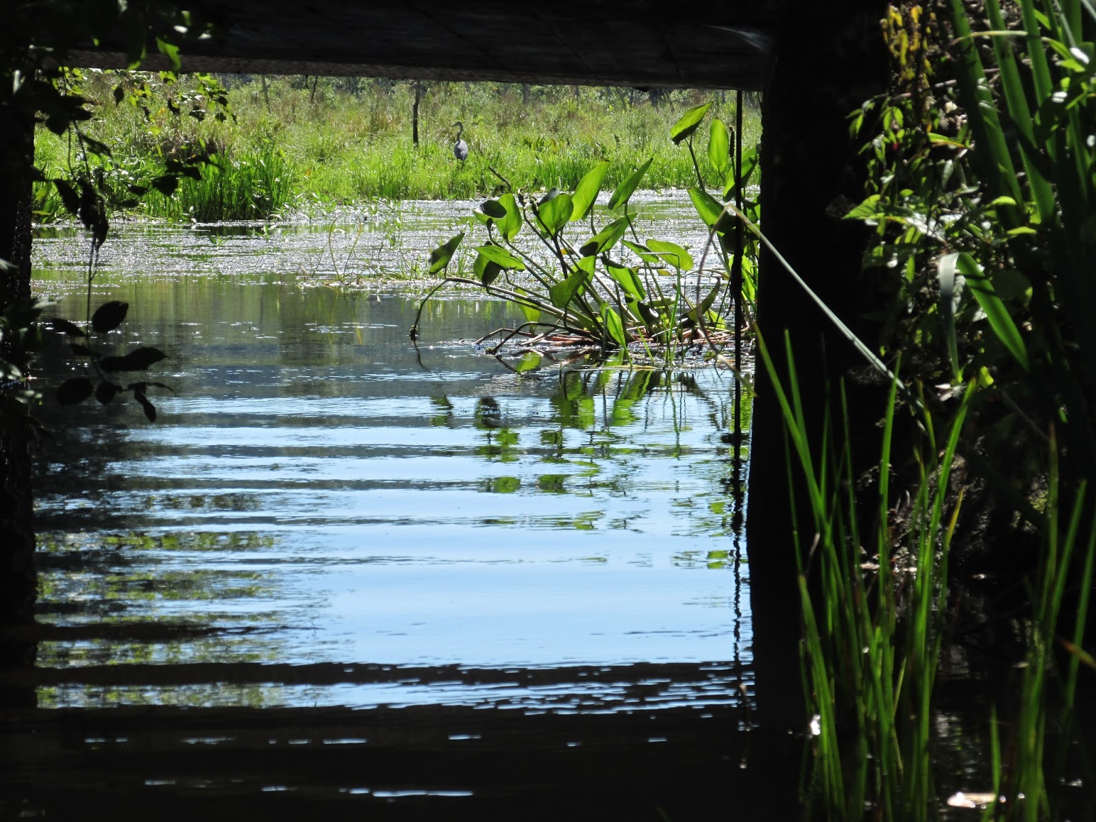 Trashpaddler Assabet's Fort Meadow Exit