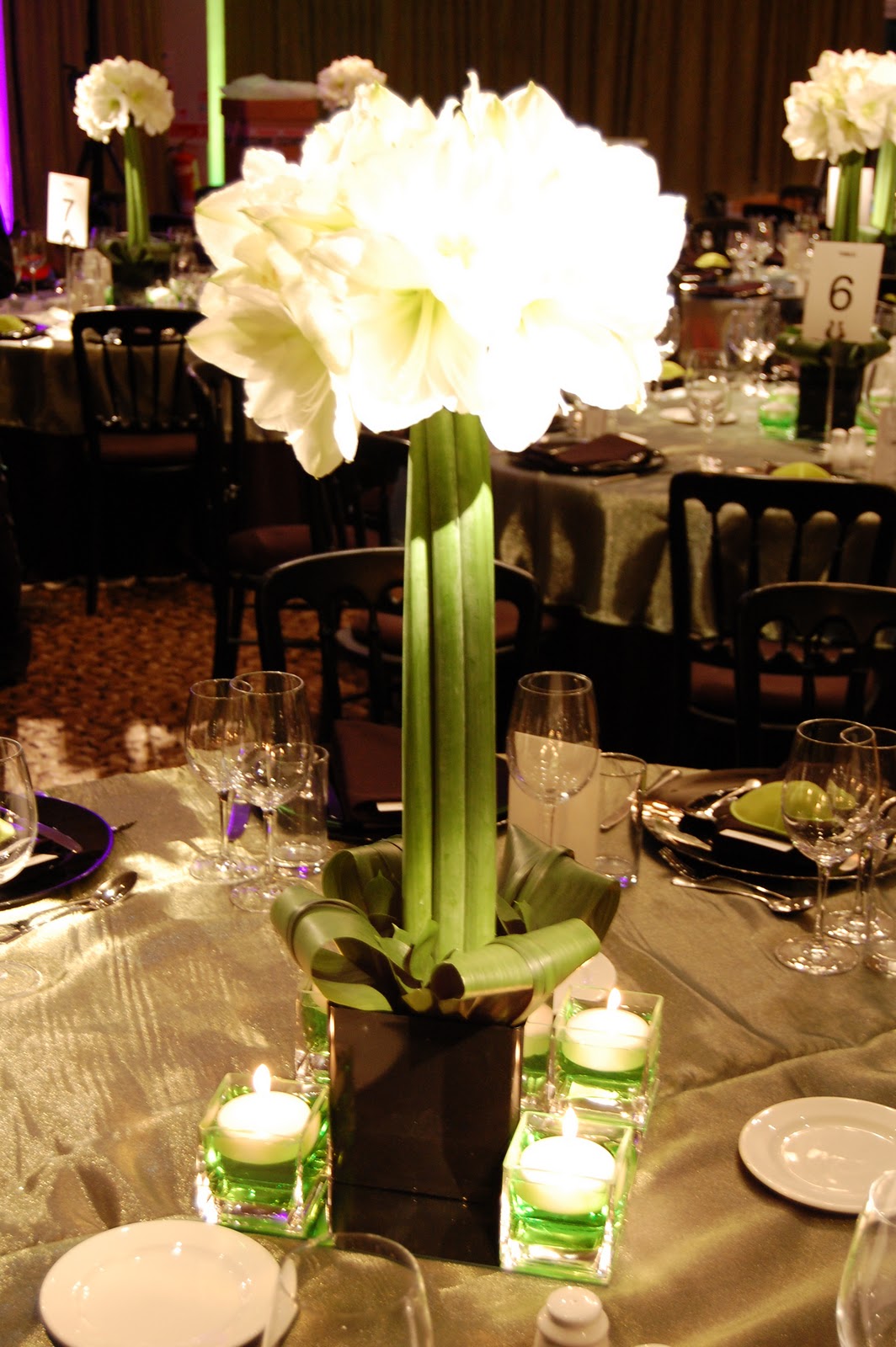 Mood Flowers Amaryllis Bar Mitzvah