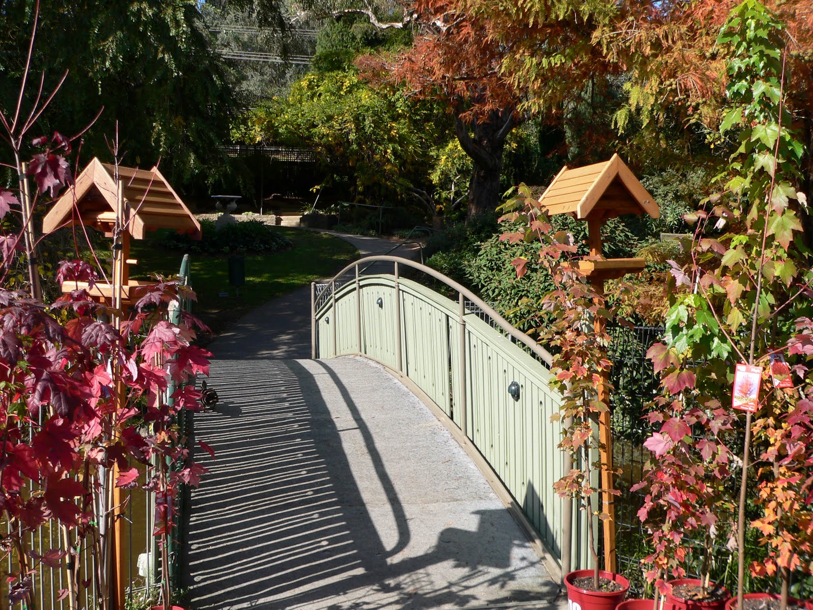 Melbourne Photographs Victoria Tasmania Queensland Australia WARRAN