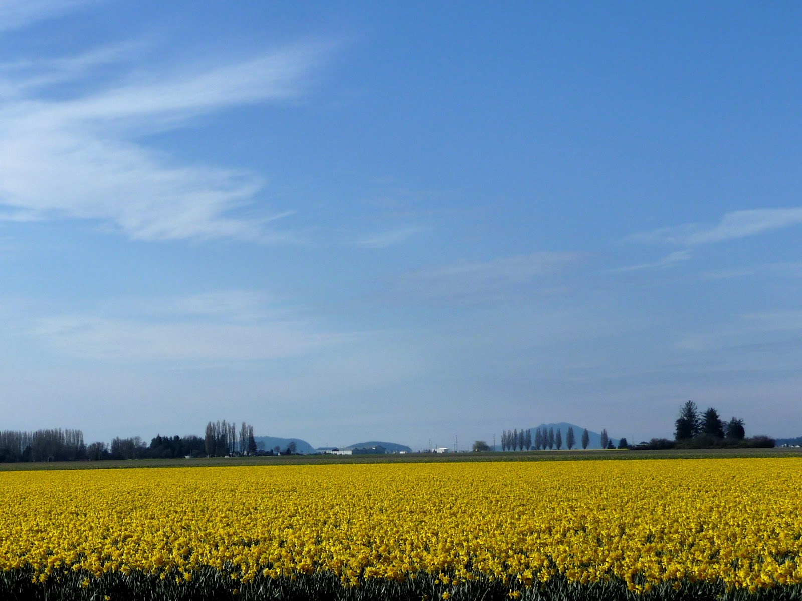 Fagin's Weather World Hike Washington KUOW Hike of the Week Oyster Dome