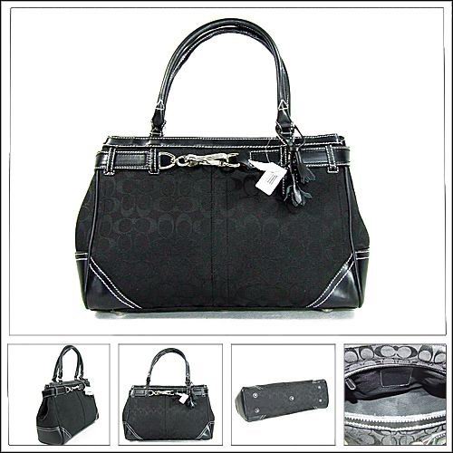 Most Popular Backpack Purse