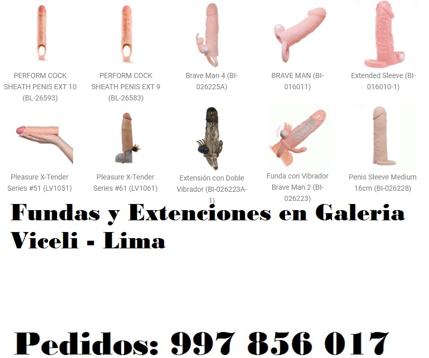 en Galeria Viceli - Lima