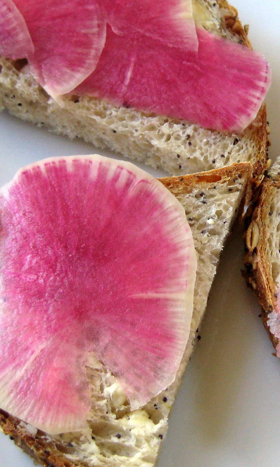 Cook Food. Mostly Plants. Bread and Butter and a Watermelon Radish