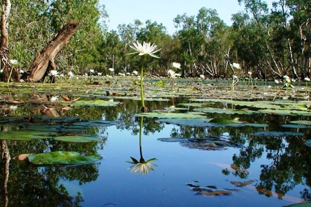 Cape York Adventurous Destinations Australia