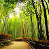 Relax place Sagano Kyoto
