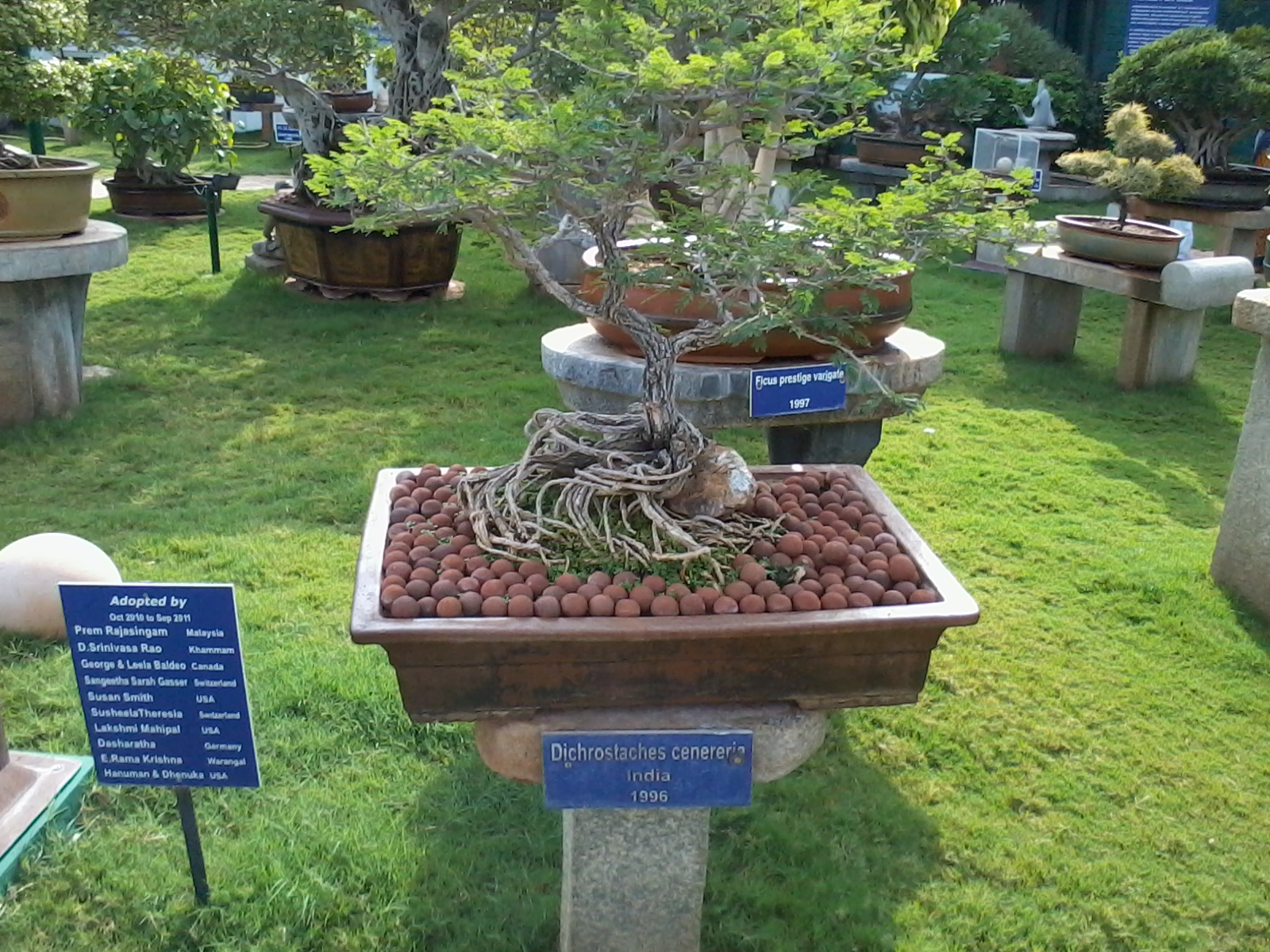 Sri Ganapati Sachidananda Ashrama in Dattanagar, Mysore Avadhoota