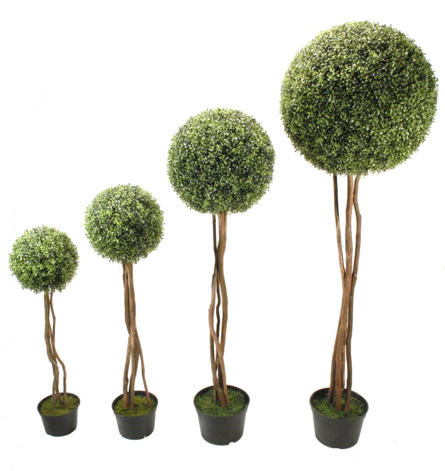 INDAGUA SAUCO Árboles bola y 1/2 bolas by Concoral