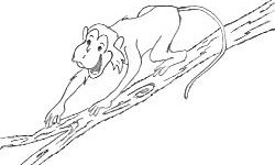 Funny monkey drawing