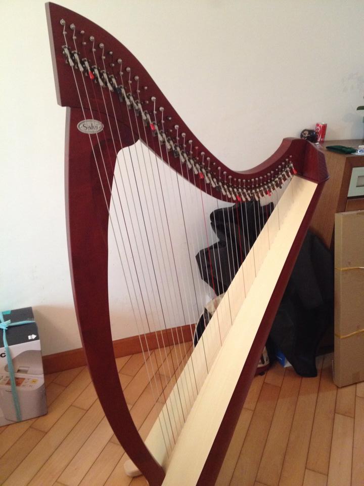 Diana Cheung the Harpist Harp Lessons Hong Kong 豎琴課程 by Diana Cheung