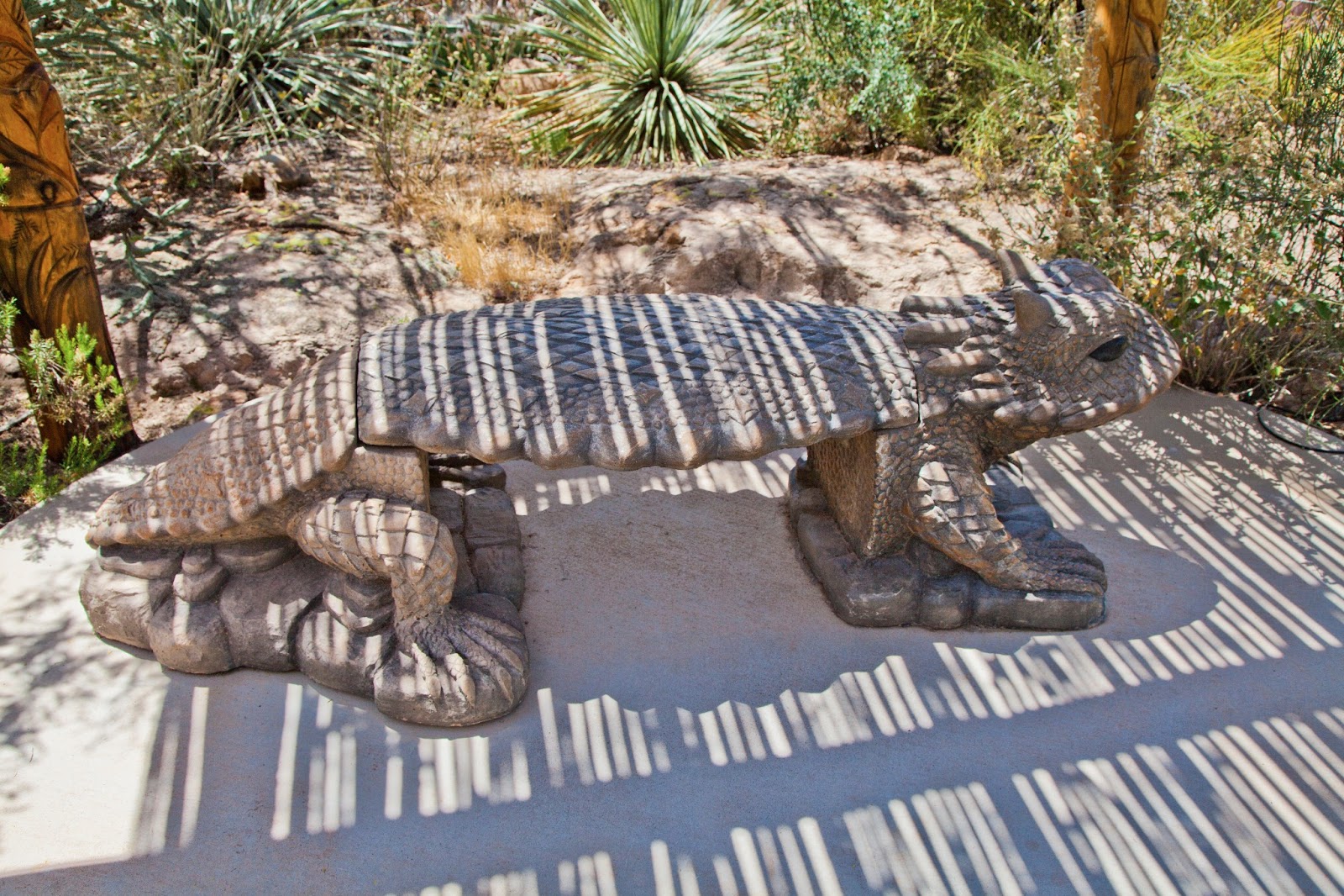 Walking Arizona Shadows on the Horned Toad