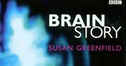 brain-story.jpg