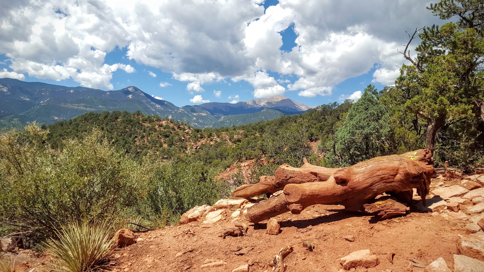 Insider Secrets To The Garden Of The Gods Travel We Must