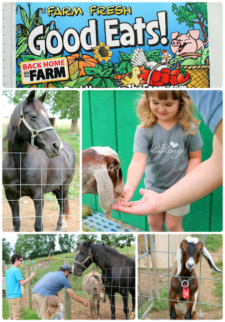 From feeding the animals to a lavender maze to a indoor carousel, families will love spending a day at Back Home On The Farm. #BlueRidgeBucket #Trekarooing