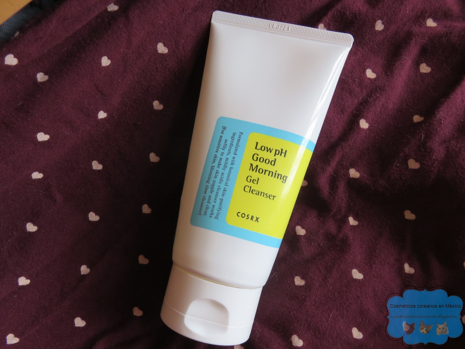 cleanx corporation review cleanx corporation review