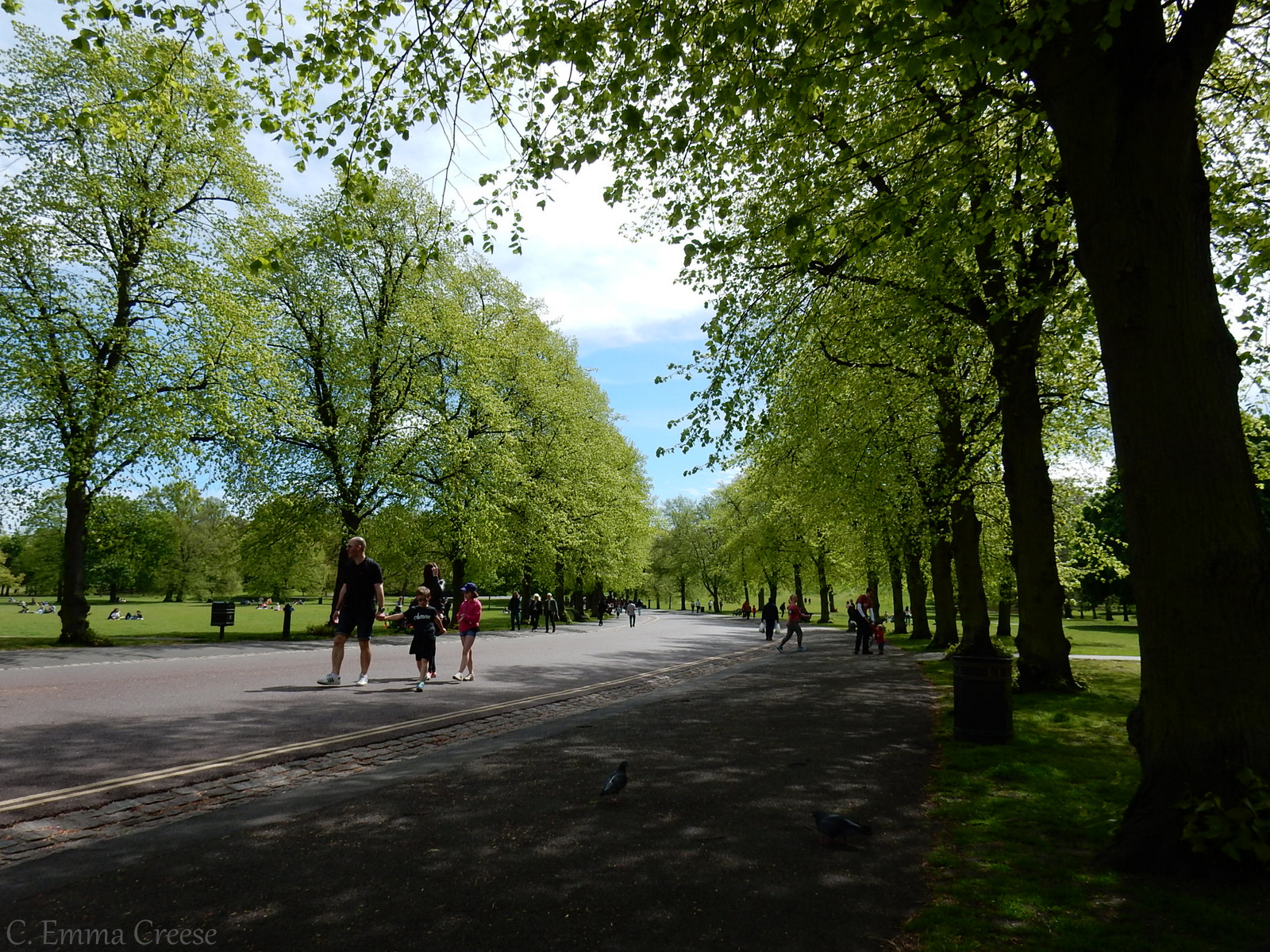 The 10 best picnic spots in London Adventures of a London Kiwi
