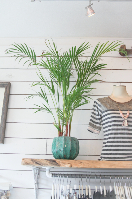 olive boutique,olive,hawaii,oahu,kailua,boutique,concept-store,shopping,travel guide,city guide