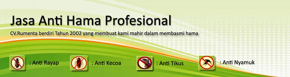 Solusi Anti rayap dengan obat anti rayap terbaik dan Ramah Lingkungan