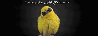 كفرات فيس بوك جديدة اجمل خلفيات واغلفة للفيس بوك Facebook Covers Wallpapers