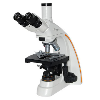 Different Types of Biological Microscope