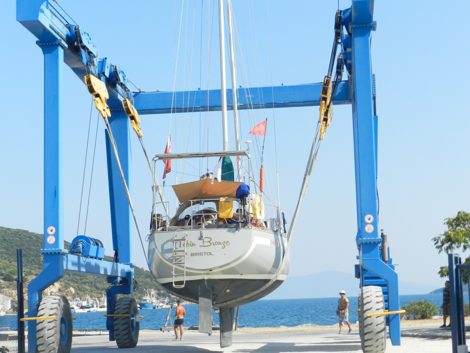 The Paddock Meet Tobin Bronze