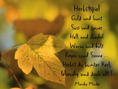 Das Leben Ist Bunt Herbstsonne