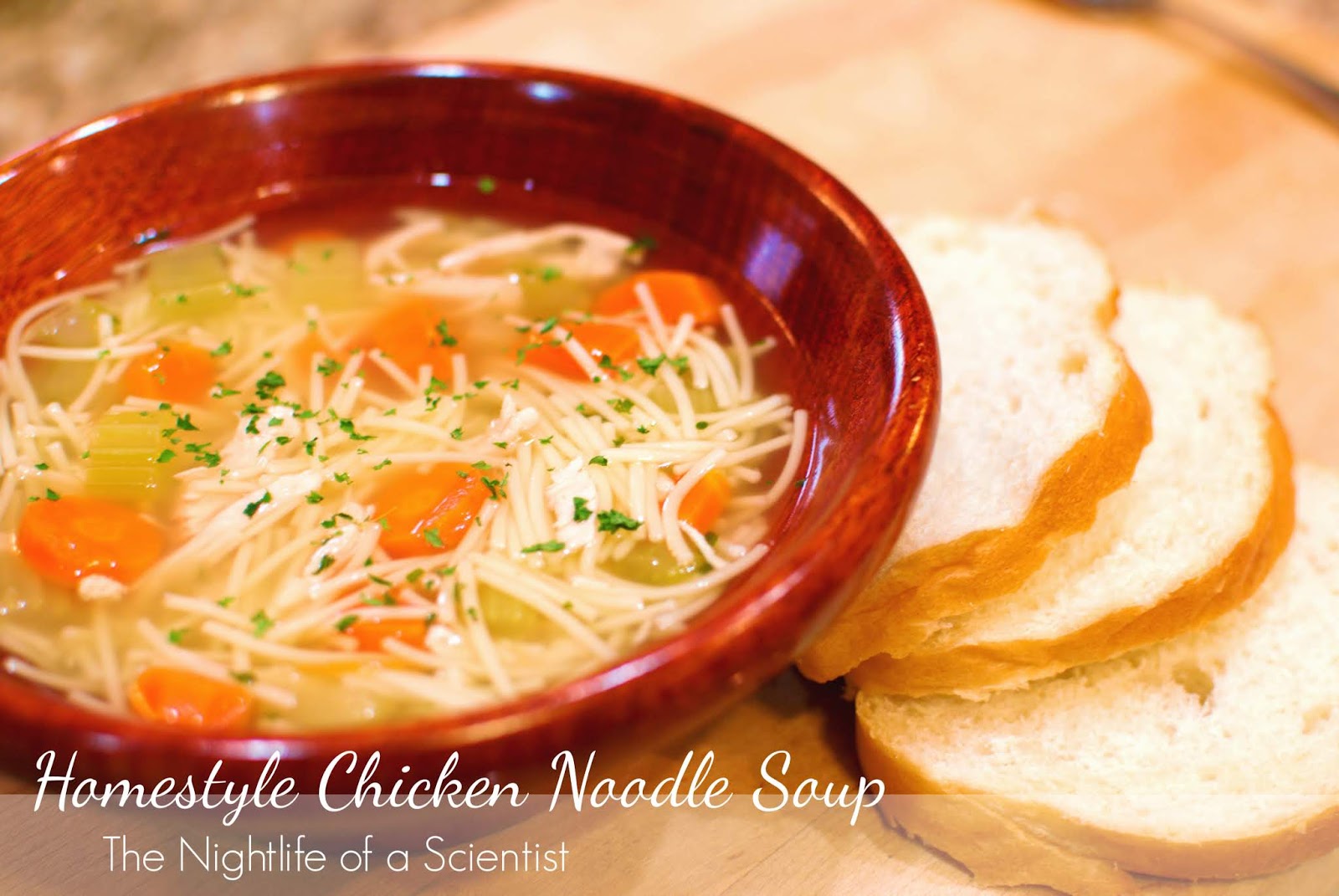The Night Life Of A Scientist Homestyle Chicken Noodle Soup