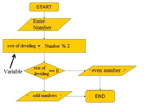 Constants and Variables in Algorithms