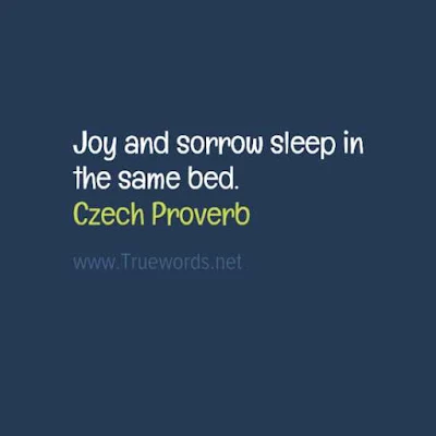 Joy and sorrow sleep in the same bed