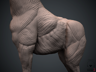 Art Blog: Giraffe Anatomy Final