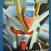 RG 1/144 Strike Freedom Gundam Manual and Runner Preview