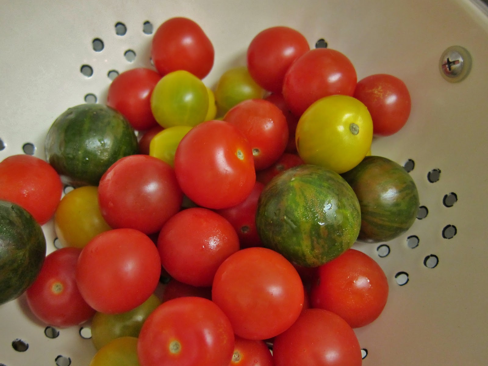 The Vegan Chronicle Green Bean and Cherry Tomato Salad