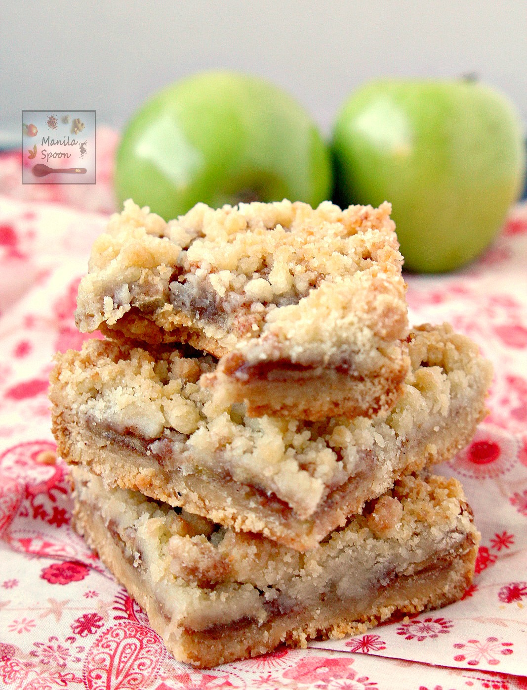 All the flavors of your favorite apple pie and the delicious Dutch-style crumb topping make these bar cookies exceptionally yummy! Easy to make as well - Dutch Apple Pie Bars!