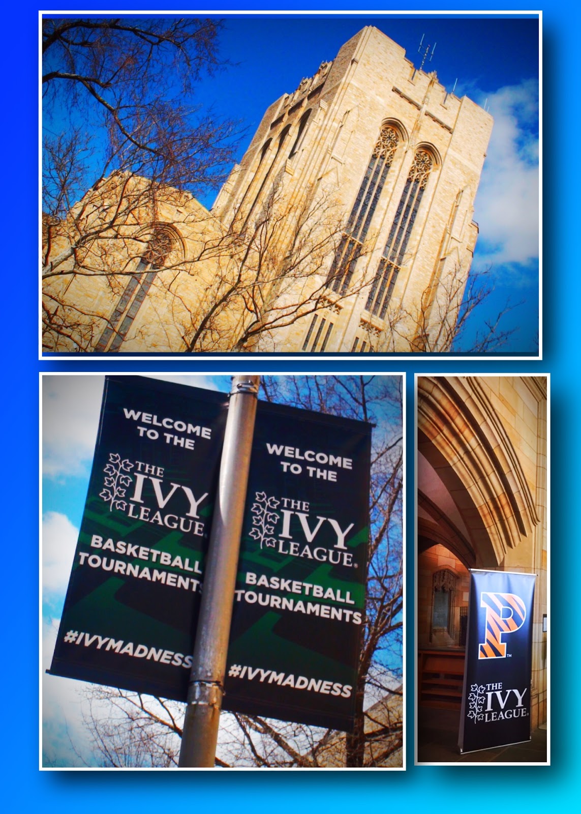 Yale Westchester Alumni Association Yale Basketball Back to the Dance