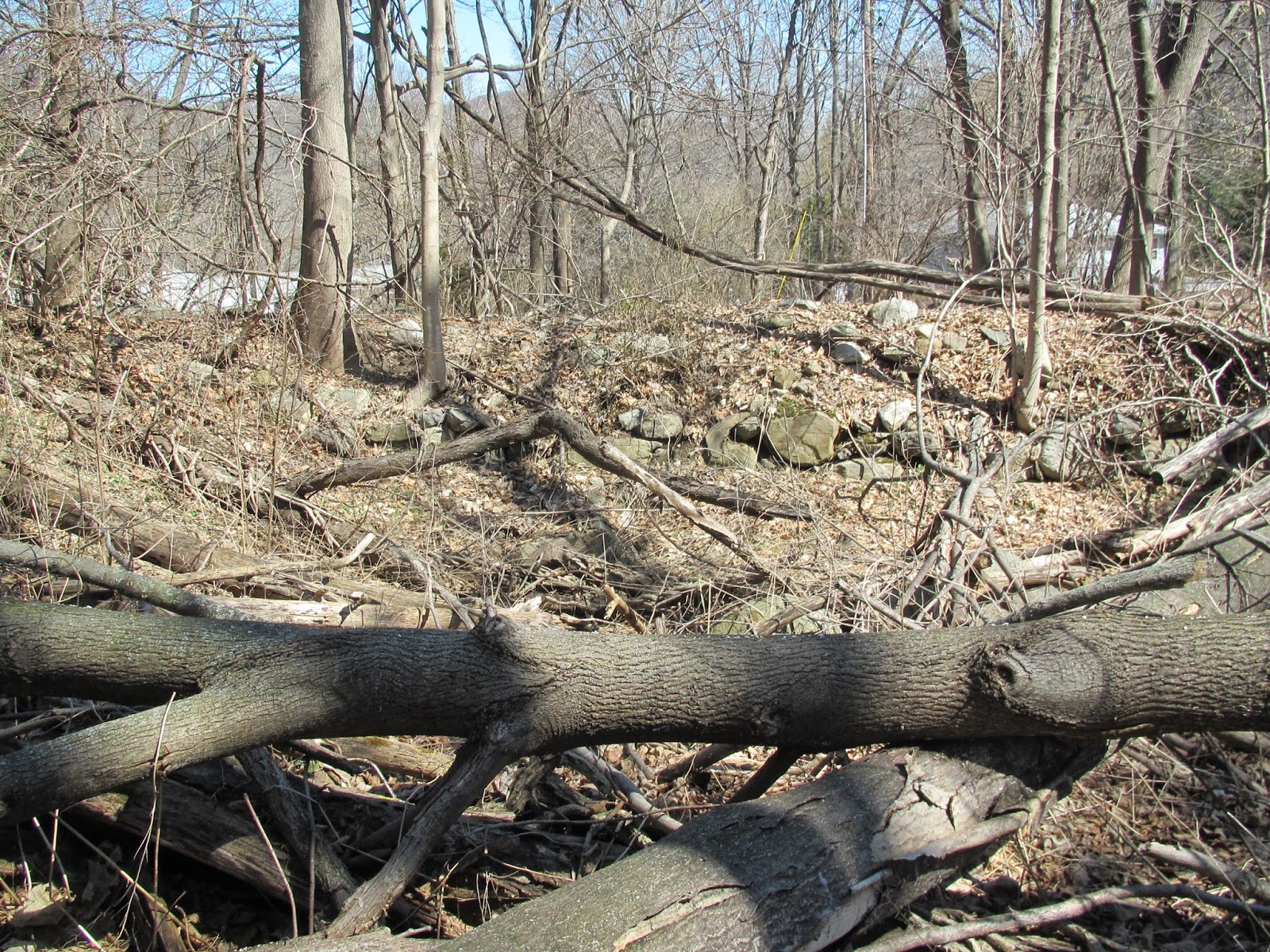 Joel Campbell (17351828) His Life and Times A Visit to Continental