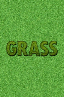 IPA Source: Wallpaper Grass IPA Version 1.0