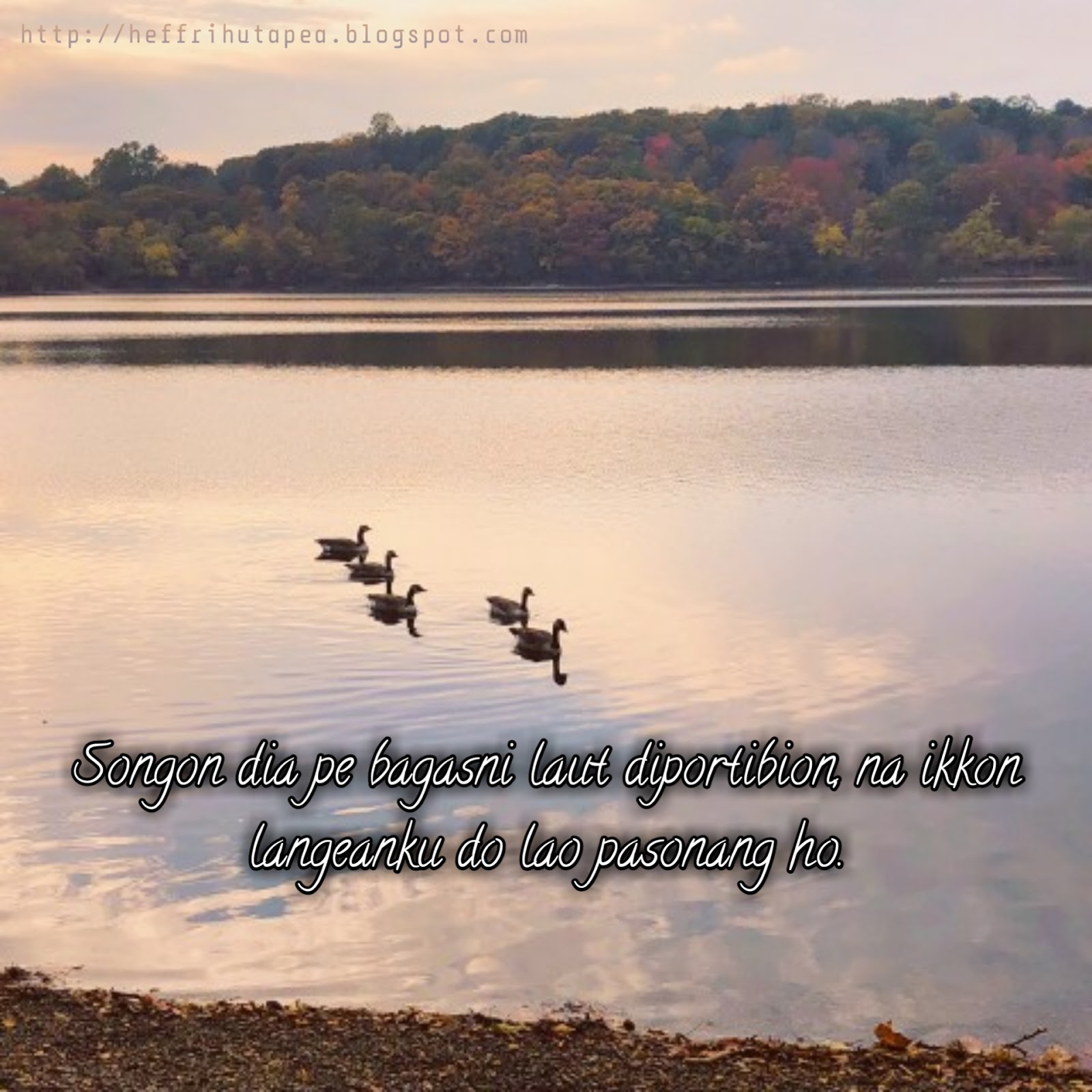 Kumpulan Katakata Gombal Bahasa Batak Heffri Hutapea Blog