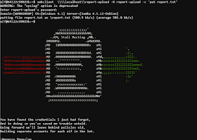 Echo 0xhat Security January 19