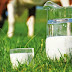 Ποια πρωτεΐνη του αγελαδινού γάλακτος ευθύνεται για γαστρεντερικές διαταραχές;