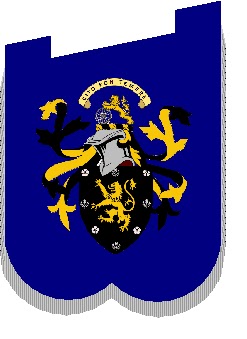 Pipe Banner Personal Arms and flag Protocol and guidelines