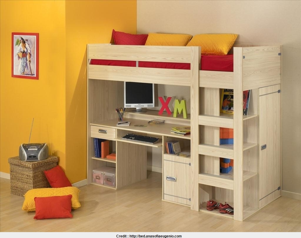 Loft Beds With Storage And Desk