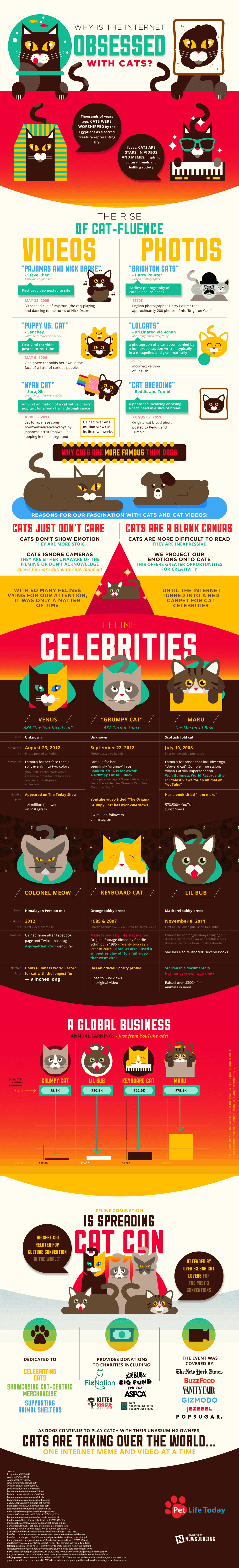 Why Is The Obsessed With Cats? infographic Visualistan